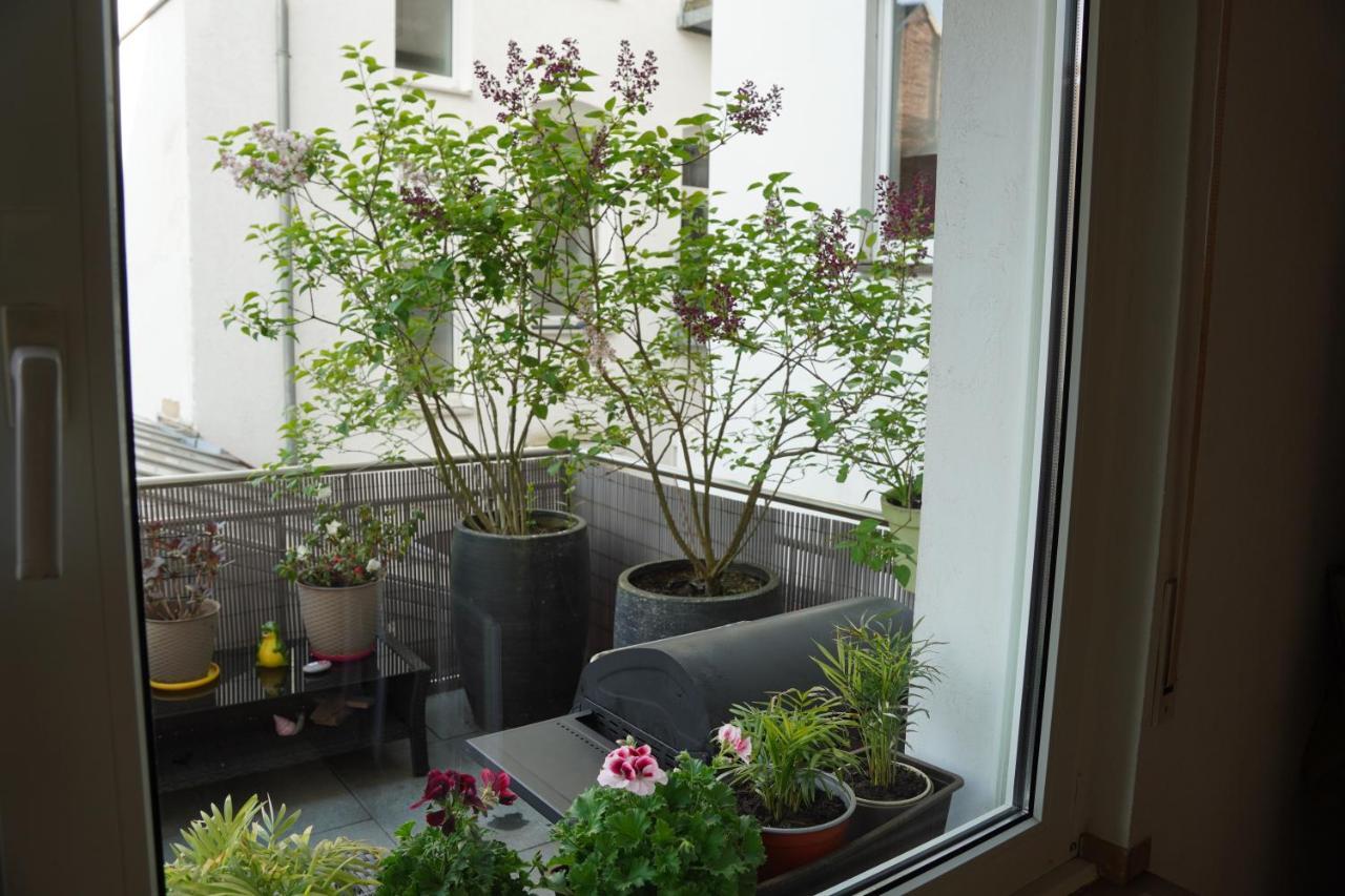 Bright, Spacious Apartment With A Lovely Terrace In The Heart Of อาเคิน ภายนอก รูปภาพ